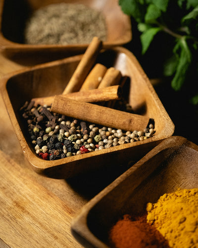 Exploring Medicinal Herbs and Healing Plants: Benefits and Growing Tips