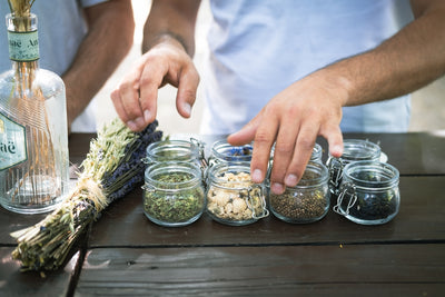 Growing Allicin Rich Delights: Master the Art of Cultivating Garlic Chives Seeds in Your Garden