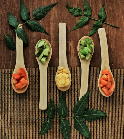 How Healing Plants and Medicinal Herbs Can Transform Your Well-being