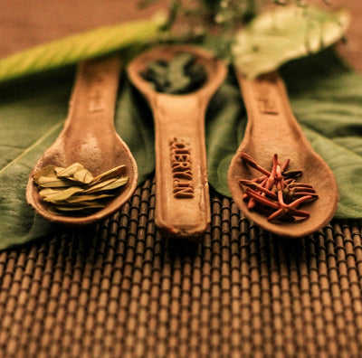 How to Utilize Medicinal Herbs and Identify Healing Plants at Home