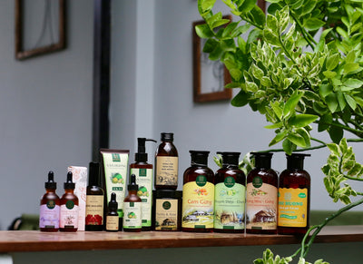 Learn the Essentials: Types of Herbs and the Power of Healing Plants