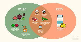 Popular High-Fat Diets of 2018