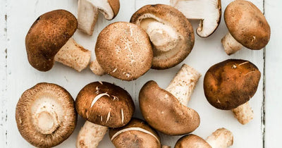 The Popularity of Shiitake Mushrooms