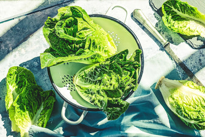 Potential Benefits of Lettuce Water for Sleep