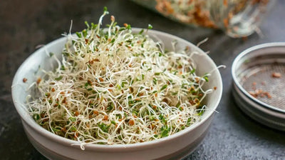 The Power of Alfalfa Sprouts