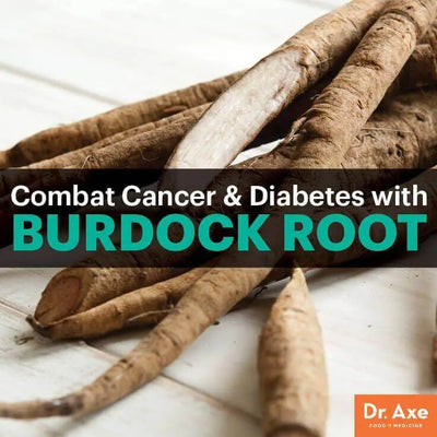 The Power of Burdock Root