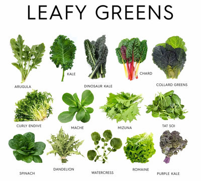 The Power of Leafy Greens