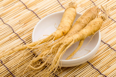 The Power of Panax Ginseng