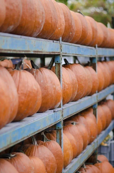 LEARN HOW TO STORE PUMPKINS?