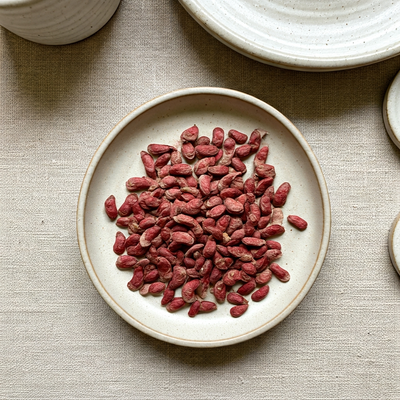 Growing Red Maple from Seed: Cold Stratification, Soaking, and Mold Prevention