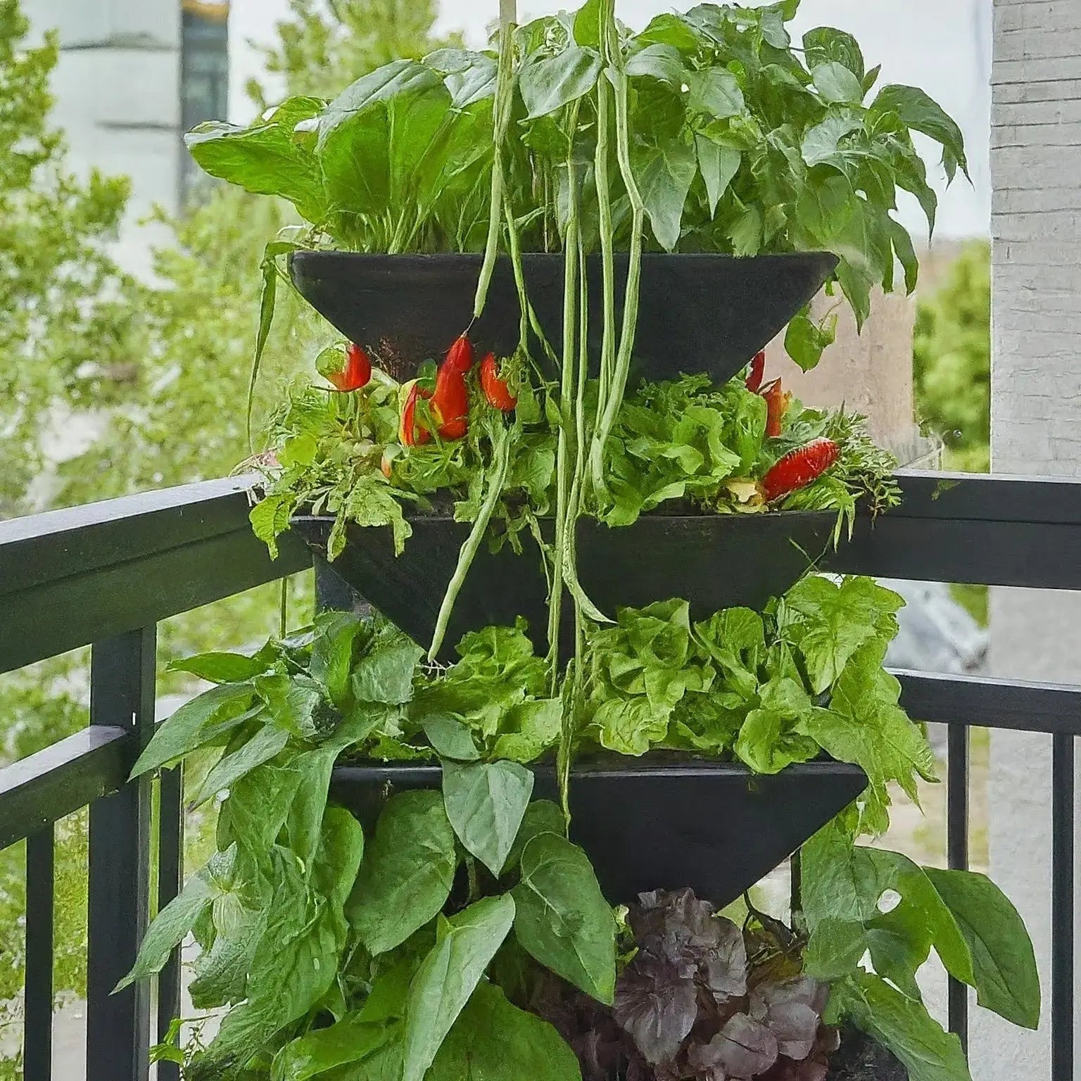 Revolutionizing Urban Gardening with Containers