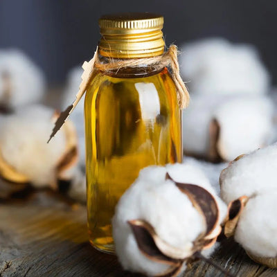 The Rise of Cottonseed Oil