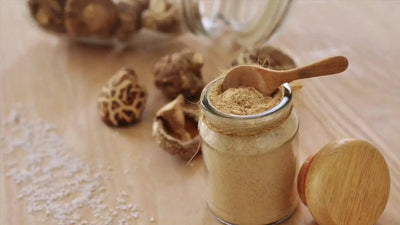 The Rise of Mushroom Powder