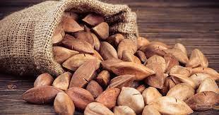 The Rise of Pili Nuts in the Health Food Scene