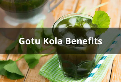 The Rising Popularity of Gotu Kola