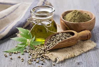 The Rising Popularity of Hemp Oil in the U.S