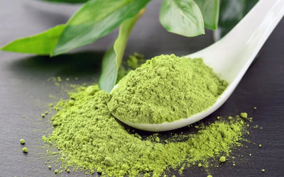 The Rising Popularity of Matcha