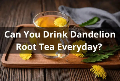 Is It Safe to Drink Dandelion Root Tea Daily?