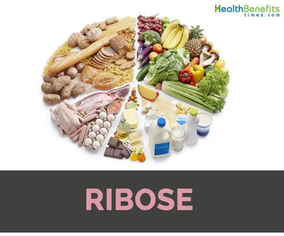 The Significance of Ribose Sugar