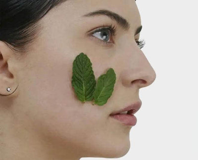 The Skin Benefits of Mint Face Masks