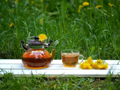 The Surprising Benefits of Dandelions