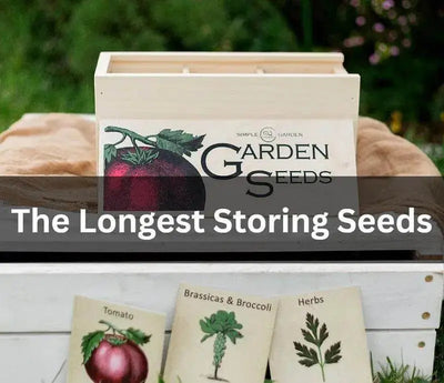 Tips for Long-Term Seed Storage