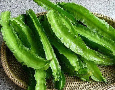 The Ultimate Health Benefits of Winged Beans