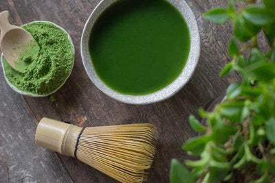 Uncovering the Antioxidant Power of Matcha