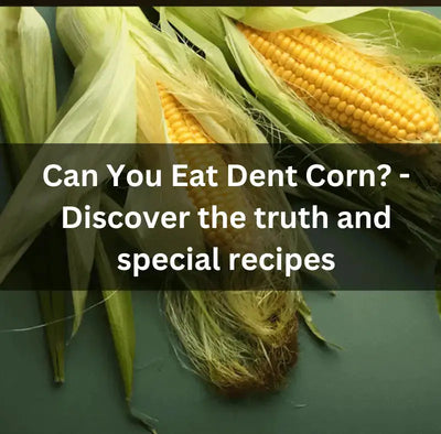 Understanding the Difference Between Maize and Corn