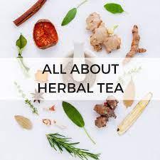 Understanding the Difference Between True Tea and Herbal Tea