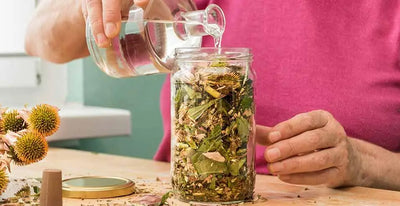 Understanding Herbal Tinctures