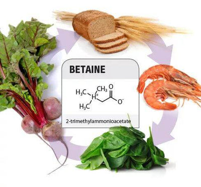 Unlocking the Benefits of Betaine