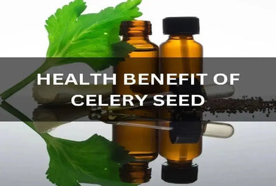 Unlocking the Health Benefits of Celery Seed