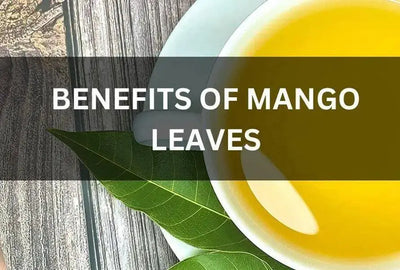 Unlocking the Health Benefits of Mango Leaves