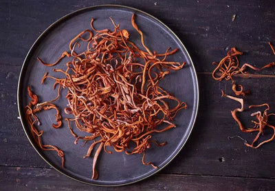 Unraveling the Mysteries of Cordyceps Mushrooms