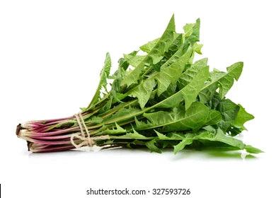 Unveiling the Health Benefits of Dandelion Greens