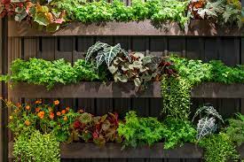 Urban Prepper’s Vertical Garden