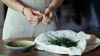 The Versatile Culinary Uses of Tarragon