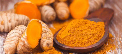 The Versatile Spice: Turmeric’s Rich History and Uses