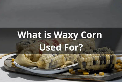 The Versatile Uses of Waxy Corn