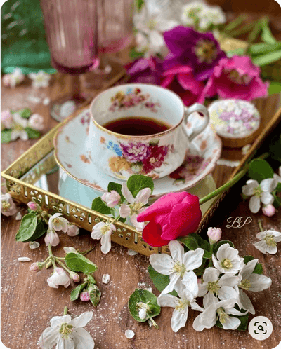 Nu Voi Herbal Tea Syzygium Nervosum Tea Cleistocalyx Operculatus tea