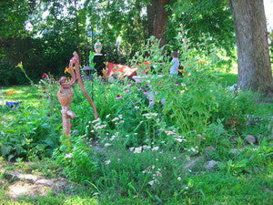 Lush garden with tall plants and flowers in a natural setting by Luna Herb Co. & The Smelly Gypsy