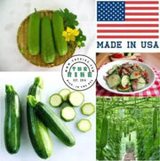 100 Seeds Dark Green Zucchini Squash Seeds Vegetable Seed Heirloom Non-GMO with Free Bandana Mask