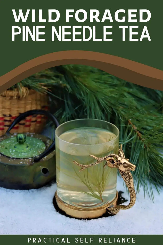 The Rike Dehydrated Pine Needle Tea Organic USA Eastern White Pine Needle Tea Herbal Pine Needles Pine Needle Leaves Herb Fresh - Image #7