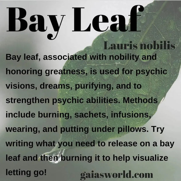 200 GRAM dried bay leaves Organic Bay Leaves Hoja De Laurel - Dried Laurus Nobilis whole Ideal for Adding Flavor to Soups, Stews, and Sauces - The Rike Inc