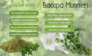 100 gram Bacopa Monnieri tea Brahmi Leaf Tea Dry Water Hyssop brahmi thyme-leafed Gratiola Herb of Grace Indian Pennywort - Image #8