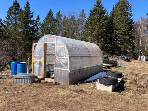 Greenhouse with a curved plastic roof and wooden frame in farming career article.