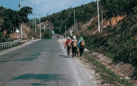 People walking along a rural road in ’The Evolution of Work Happiness’ article.