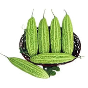 30 Seeds Green Skin Long Bitter Gourd Seeds Bitter Melon Seeds Ku Gua Asian Vegetable Karela Momordica charantia Vegetable Seeds Khổ Qua Mỡ Trái Dài Great germinations - The Rike Inc