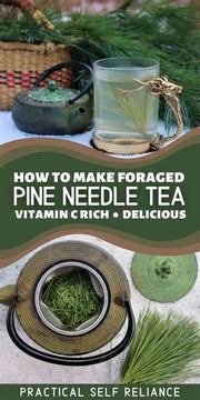 The Rike Dehydrated Pine Needle Tea Organic USA Eastern White Pine Needle Tea Herbal Pine Needles Pine Needle Leaves Herb Fresh - Image #8